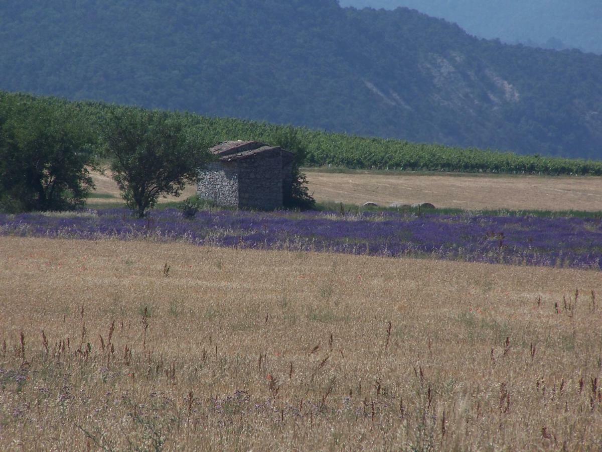 "Le Pigeonnier" Chambre D'Hote Piégros-la-Clastre エクステリア 写真